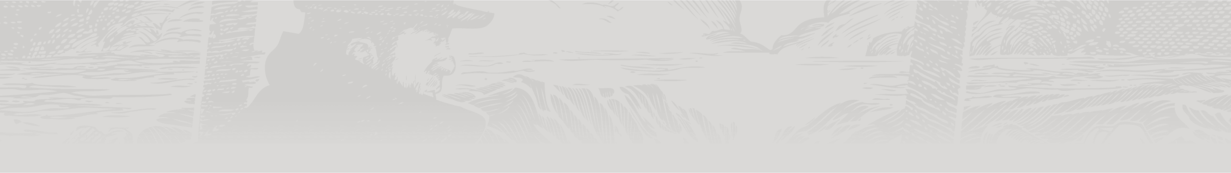 Branding background