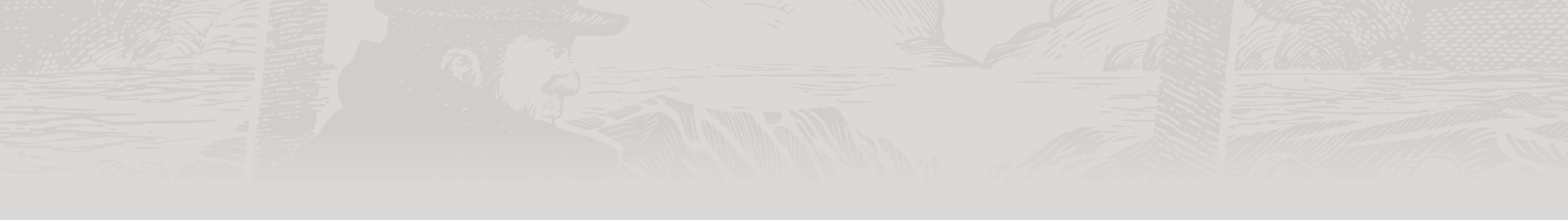 TO Slice Background Image