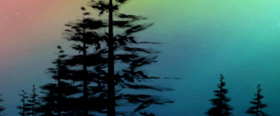 Associated Labels case study header banner - night forest
