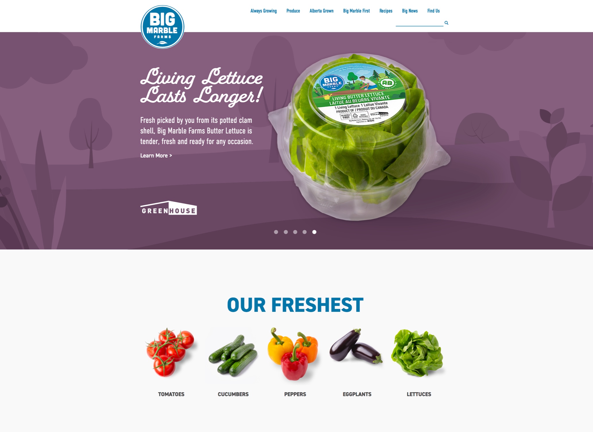 bmf home page