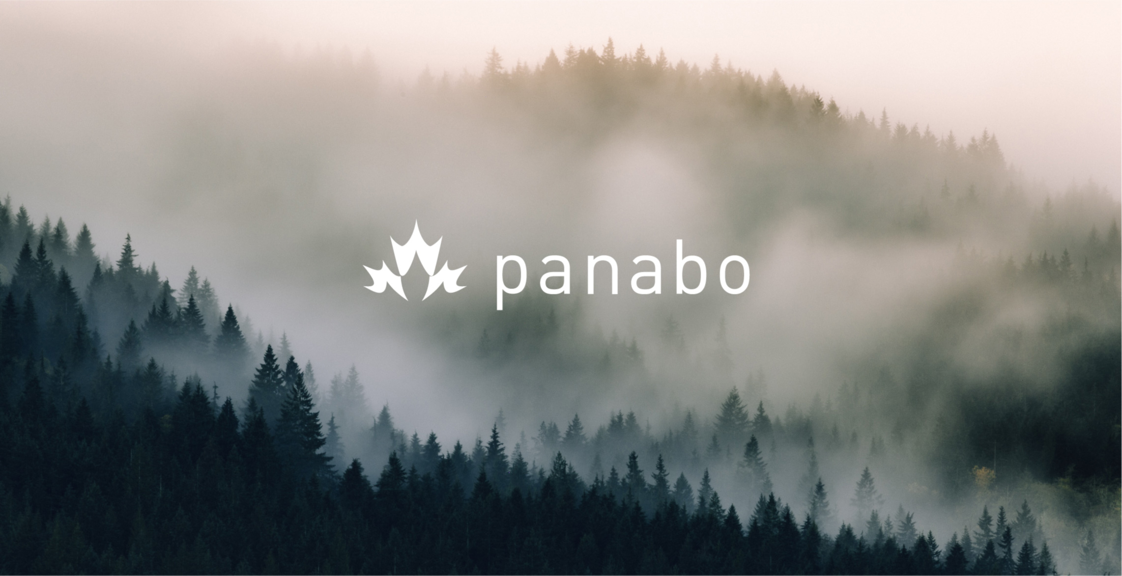 Panabo Sales banner