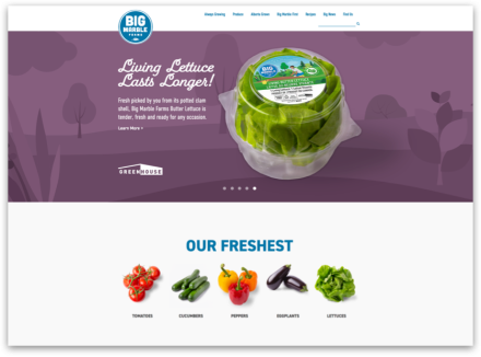bmf home page