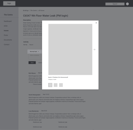Issue Detail Modal Window