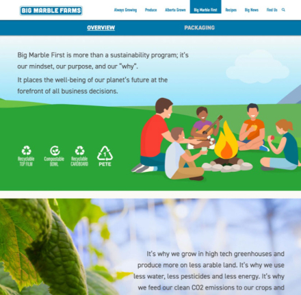 BM First page